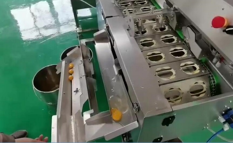 蛋清蛋黃分離器外掛雙排敲蛋機(jī)——現(xiàn)場(chǎng)實(shí)拍圖