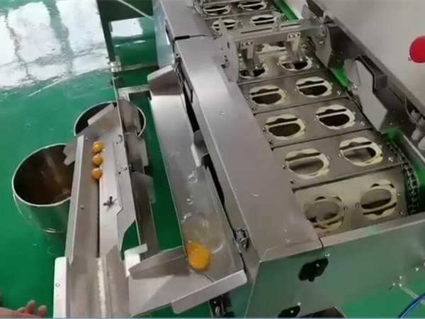 食品廠用蛋清蛋黃分離機(jī)怎么樣？?jī)?yōu)勢(shì)和作用介紹